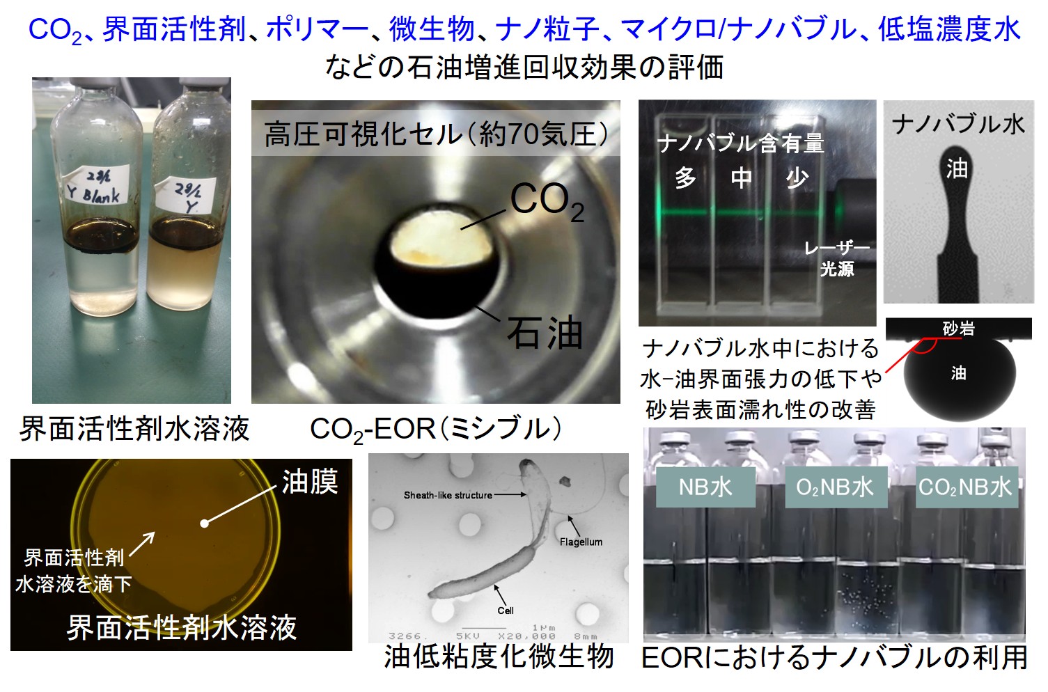 在来型資源の効率的な生産技術に関する研究01